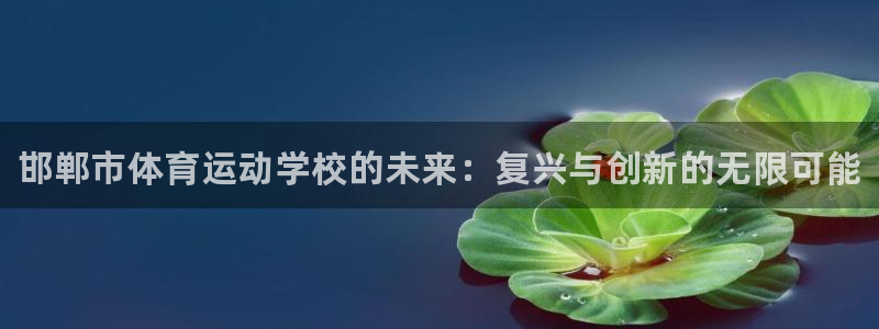 3377体育官网下载平台注册流程视频：邯郸市体育运动