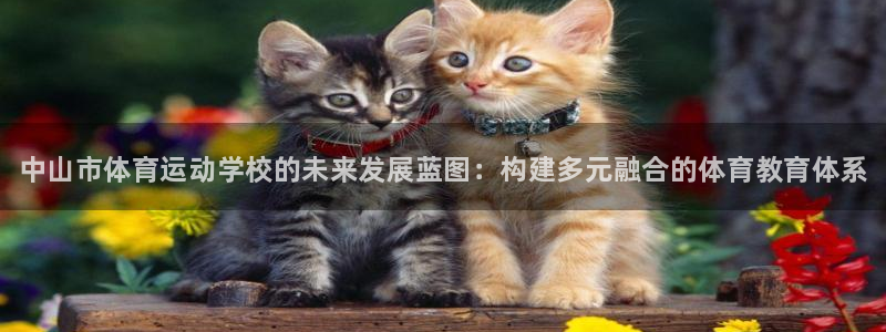 3377体育官方正版app娱乐首页官网下载：中山市体