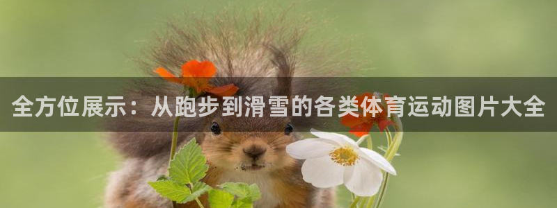 3377体育官网下载平台是正规平台吗知乎