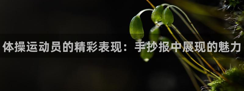 3377体育官网下载注册：体操运动员的精彩表现：手抄