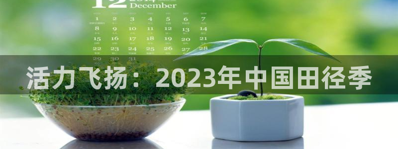 3377体育官网下载招商电话号码是多少号：活力飞扬：