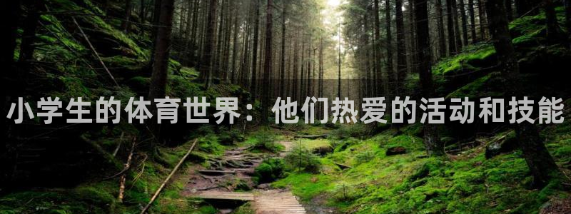 3377体育官方正版app科技：小学生的体育世界：他