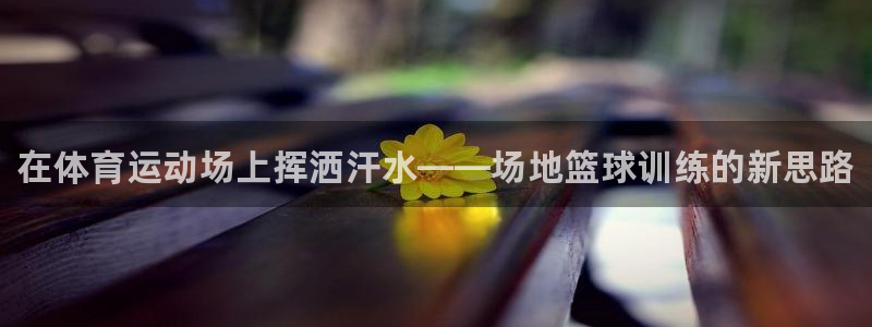 3377体育官网下载娱乐：在体育运动场上挥洒汗水——场地篮球
