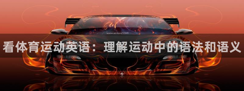 3377体育官网下载招商电话号码是多少：看体育运动英语：理解