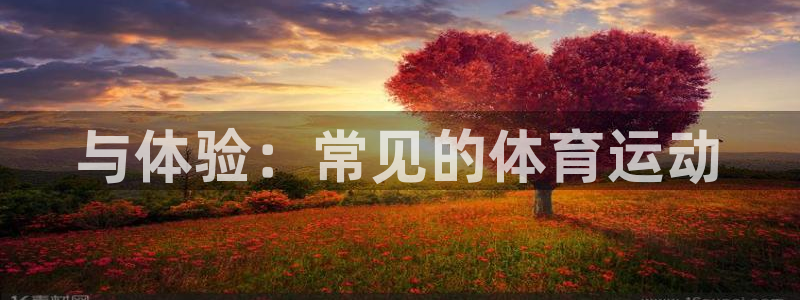 3377体育官网下载联系电话：与体验：常见的体育运动