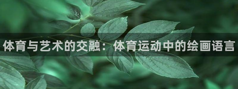3377体育官方正版app集团logo：体育与艺术的