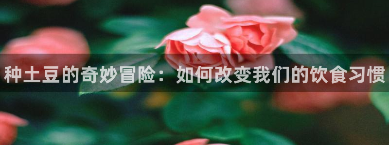 3377体育官方正版app集团logo：种土豆的奇妙冒险：如
