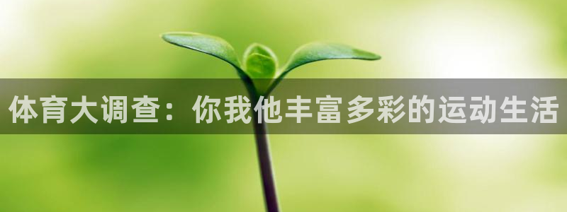 3377体育官方正版app集团logo：体育大调查：你我他丰