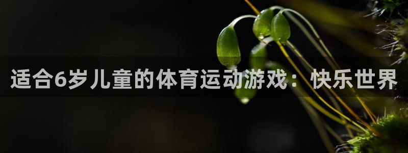3377体育官方正版app集团：适合6岁儿童的体育运动游戏：