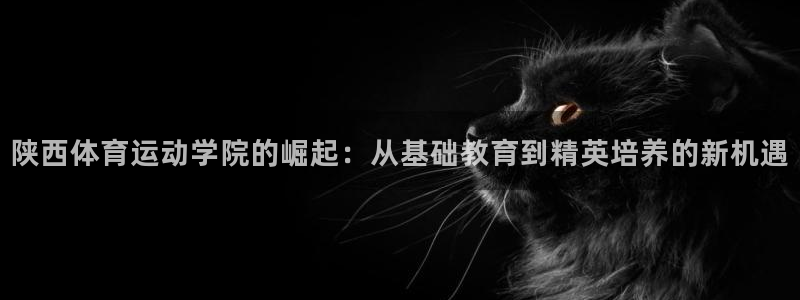 3377体育官网下载招商电话号码查询:陕西体育运动学院的崛起