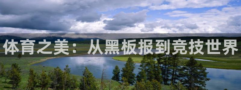 3377体育官方正版app集团简介：体育之美：从黑板报到竞技