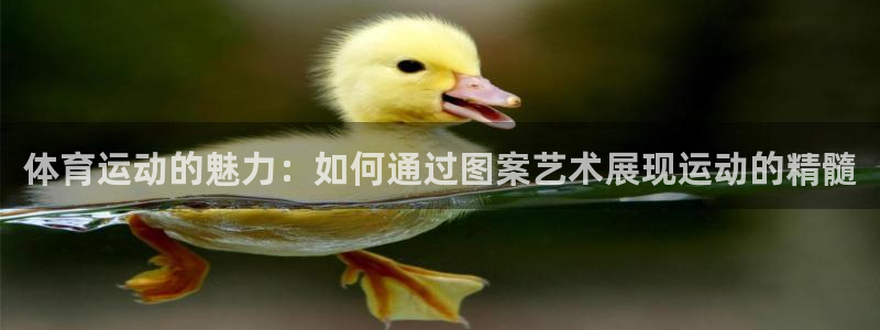 3377体育官网下载