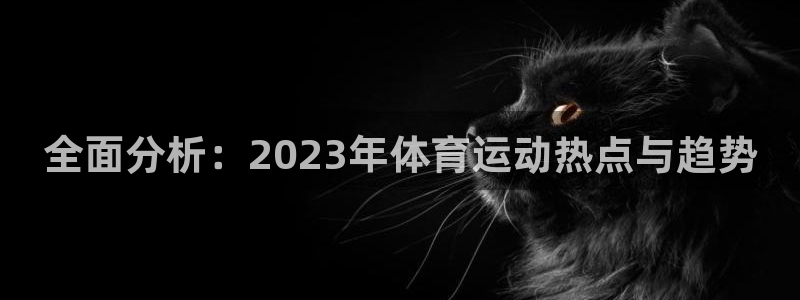 3377体育提款容易通过吗：全面分析