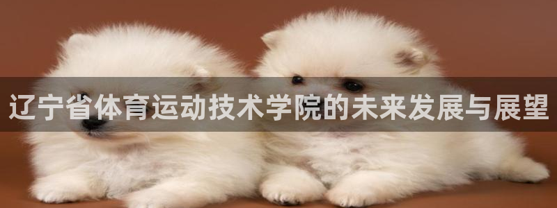  3377体育可信吗：辽宁省体育运动技术学院的未来发展与展望