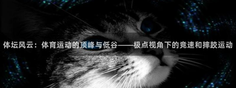 3377体育是干嘛的：体坛风云：体育