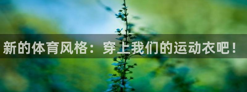 3377体育app官网下载地址：新的体育风格：穿上我们的运动