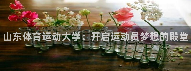 3377体育官网址：山东体育运动大学