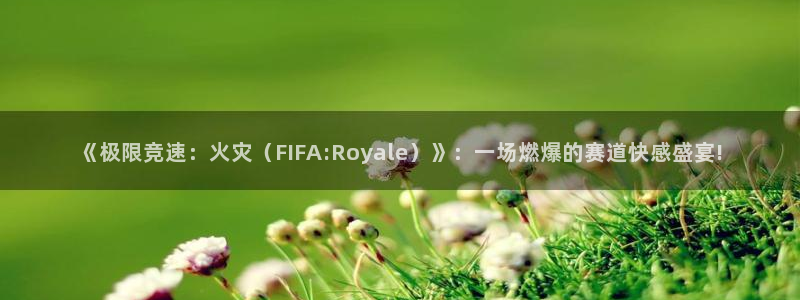 3377体育唯一官方网站：《极限竞速：火灾（FIFA:Roy