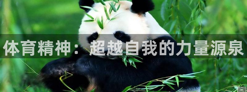 3377体育唯一官方网站：体育精神：