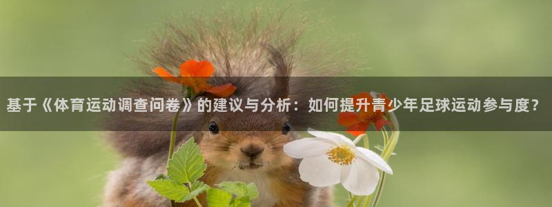 3377体育黑款吗：基于《体育运动调查问卷》的建议与分析：如