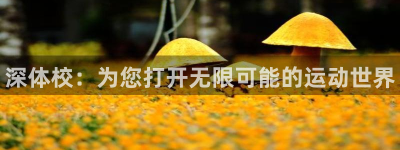 3377体育提款失败的原因分析：深体