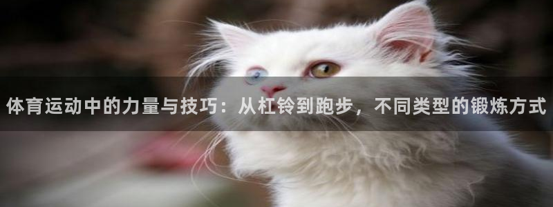 3377体育在哪个国家运营