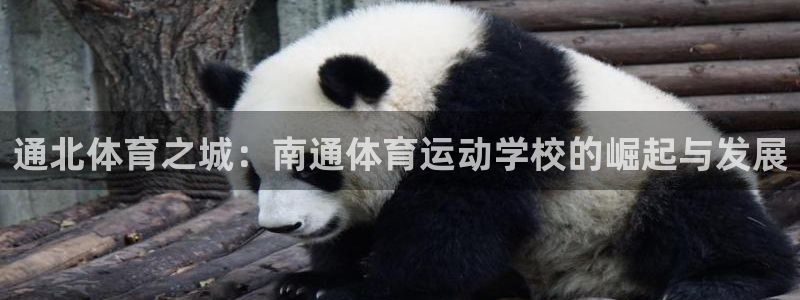 3377体育退款最新政策