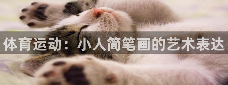 3377体育官网下载招商电话是多少：体育运动：小人简