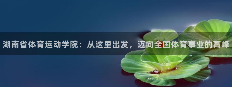 3377体育官网下载招商电话号码是多少号：湖南省体育