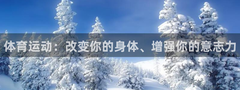 3377体育官方正版app科技