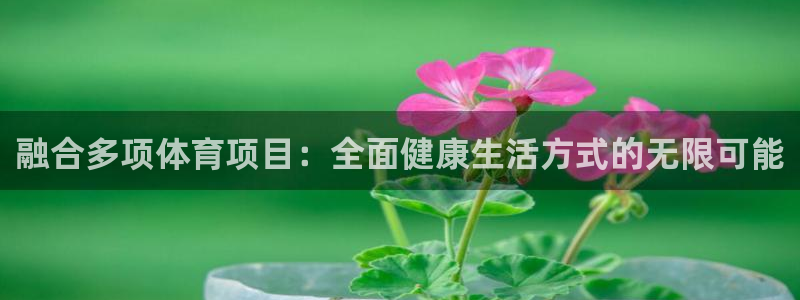 3377体育官网下载平台APP