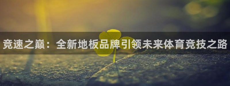 3377体育官方正版app集团官网首页网址