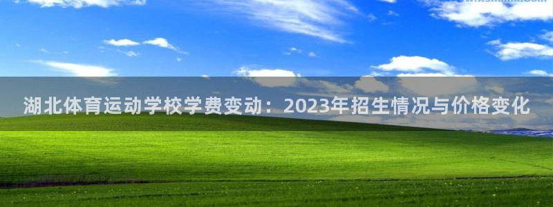 3377体育官方正版app娱乐代理怎么样:湖北体育运动学校学